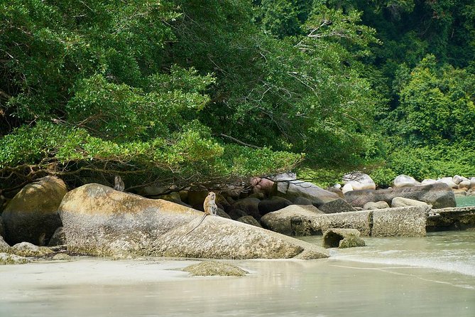 Silver Leaf Monkeys and Firefly Tour with Boat Ride and Seafood Dinner - The included set seafood dinner: a real recovery plan