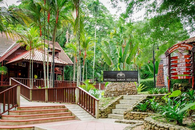 Taman Negara Day Tour with Canopy Walk - Key highlights to know before you go