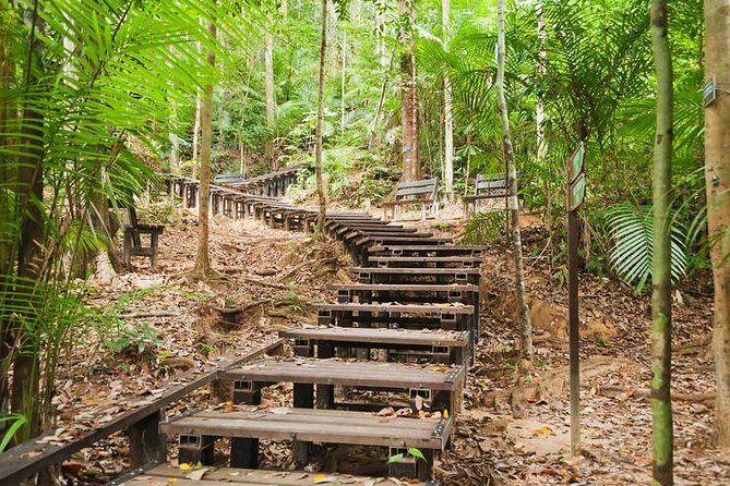 Taman Negara Day Tour with Canopy Walk - Teresek Hill trekking: your first climb and why it matters