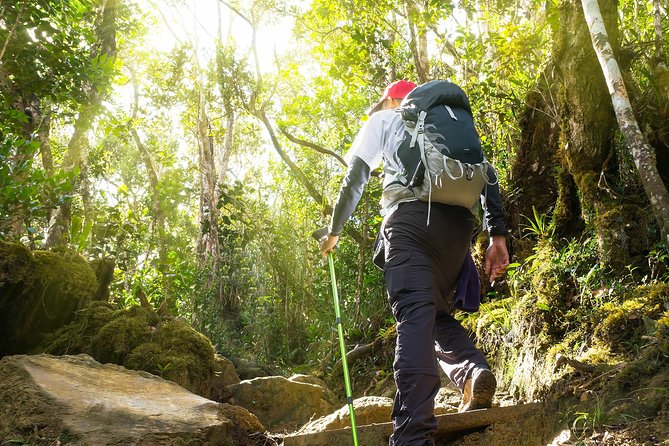 Templer Park and Kanching Waterfall Tour with Batu Caves Stopover - Kanching Waterfall: cool pools, waterfall photos, and swim planning