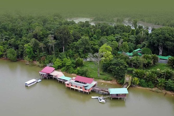Wildlife & Wonders: Orang Utan Island + Perak Cave Temple Tour - Driver, guide, and comfort: the stuff that changes your day